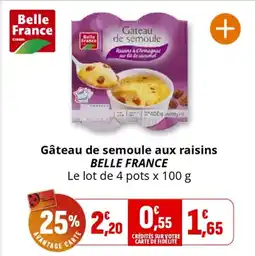Coccinelle Express BELLE FRANCE Gâteau de semoule aux raisins offre