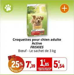 Coccinelle Express FRISKIES Croquettes pour chien adulte Active offre