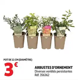 Auchan Arbustes d'ornement offre