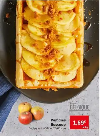 Colruyt Pommes Boscoop offre