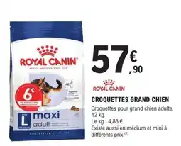 E.Leclerc CROQUETTES GRAND CHIEN offre