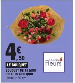 E.Leclerc Bouquet de 15 mini ceillets arlequin offre