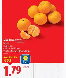 Lidl Mandarine offre
