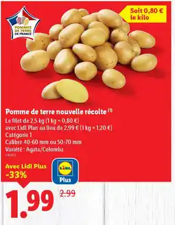Lidl Pomme de terre nouvelle récolte offre