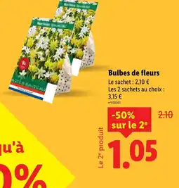 Lidl Bulbes de fleurs offre