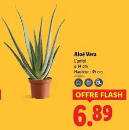 Lidl Aloé Vera offre