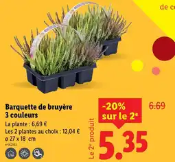 Lidl Barquette de bruyère offre