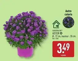 ALDI GARDENLINE Aster offre