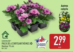 ALDI GARDENLINE Pack de 6 chrysanthèmes offre