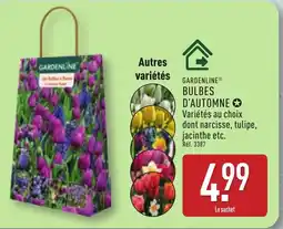ALDI GARDENLINE Bulbes d'automne offre