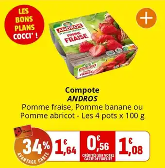 Coccinelle Supermarché ANDROS Compote offre