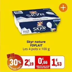 Coccinelle Supermarché YOPLAIT Skyr nature offre
