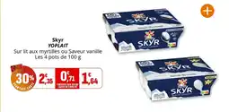Coccinelle Supermarché YOPLAIT Skyr offre