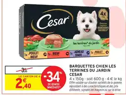 Intermarché Contact CESAR Barquettes chien les terrines du jardin offre