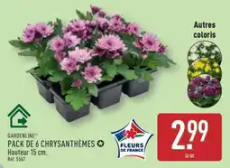 ALDI PACK DE 6 CHRYSANTHÈMES offre