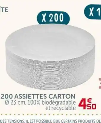 200 Assiettes Carton