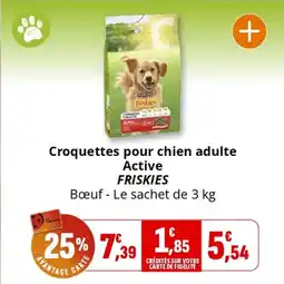 Coccinelle Supermarché FRISKIES Croquettes pour chien adulte Active offre