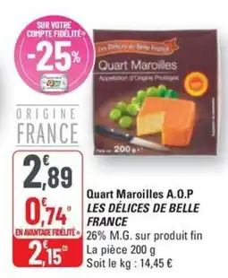 G20 LES DÉLICES DE BELLE FRANCE Quart maroilles a.o.p offre
