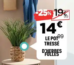 Centrakor Le pot tressé d'herbes folles offre