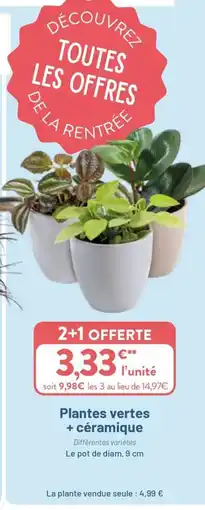 VillaVerde Plantes vertes + céramique offre