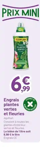 VillaVerde Engrais plantes vertes et fleuries offre