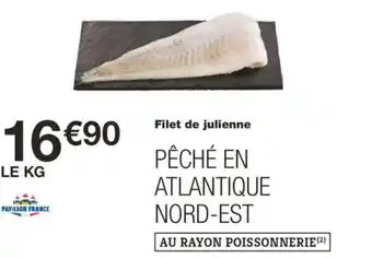 Monoprix Filet de julienne offre
