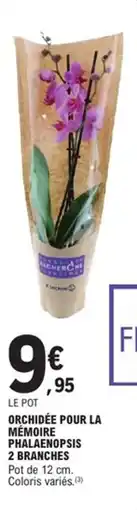 E.Leclerc Express Orchidée pour la mémoire phalaenopsis 2 branches offre
