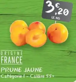 G20 Prune jaune offre