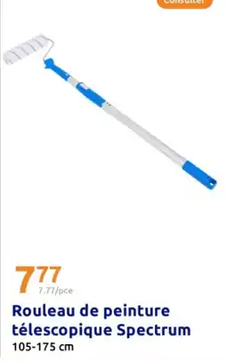 Action Rouleau de peinture télescopique spectrum offre