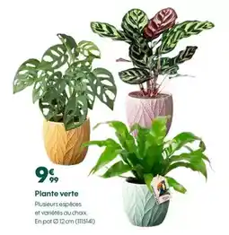 Helline Rowenta - aspirateur sans fil easy air dragon offre