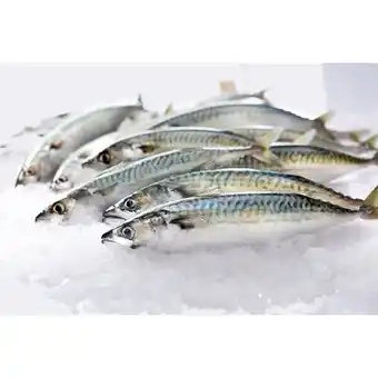 Carrefour CARREFOUR Maquereau offre