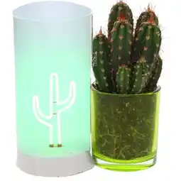 Carrefour Cactus déco LED offre