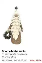 Retif Gnome barbe sapin offre