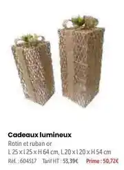 Retif Cadeaux lumineux offre