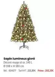 Retif Sapin lumineux givré offre