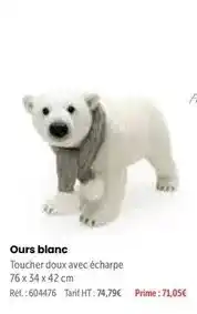 Retif Ours blanc offre
