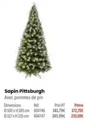 Retif Sapin pittsburgh offre