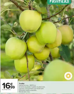 Carrefour Market Fruitier offre