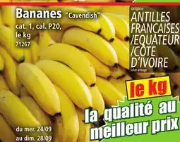 Norma Bananes "Cavendish" offre