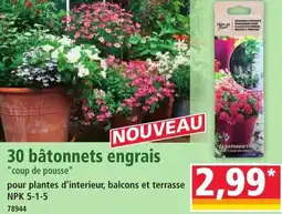 Norma 30 bâtonnets engrais offre
