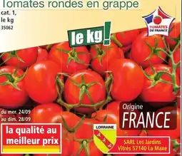 Norma Tomates rondes en grappe offre