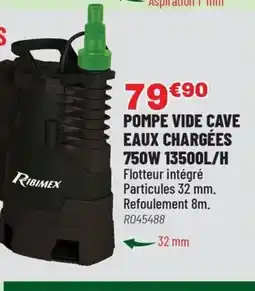 Brico Pro Pompe vide cave eaux chargées 750w 13500l/h offre