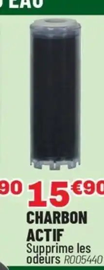 Brico Pro Charbon actif offre