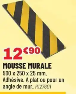 Brico Pro Mousse murale offre