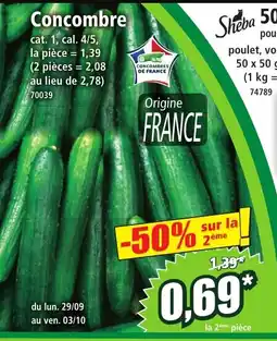 Norma Concombre offre