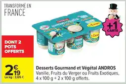 Carrefour Desserts Gourmand et Végétal ANDROS offre