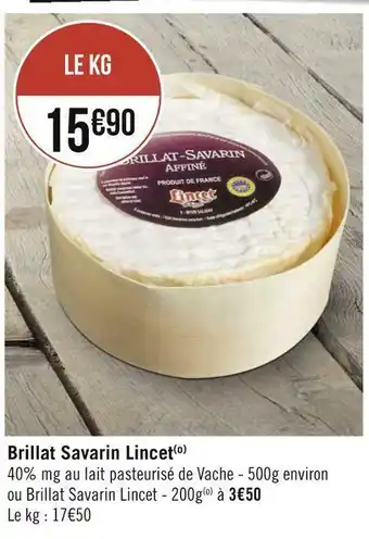 Brillat savarin lincet