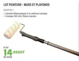 Quéguiner NESPOLI Lot peinture - murs et plafonds offre