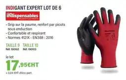 Quéguiner Indigant expert lot de 6 offre