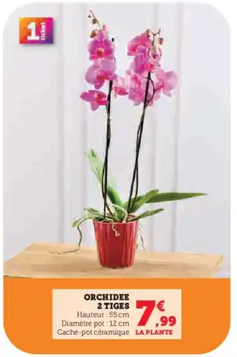 Super U Orchidee 2 tiges offre